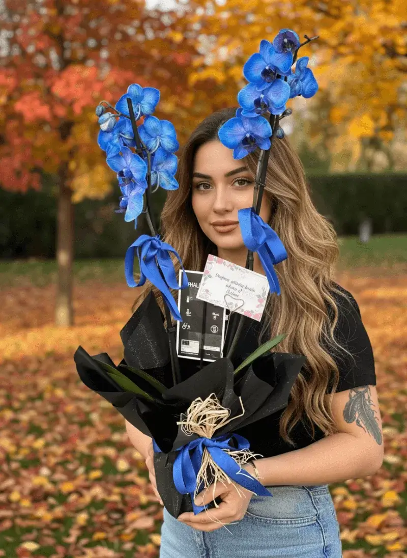 Mavi Orkide – Hediye Seti