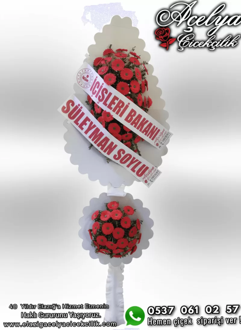 Çift Katlı Kırmızı Gerbera