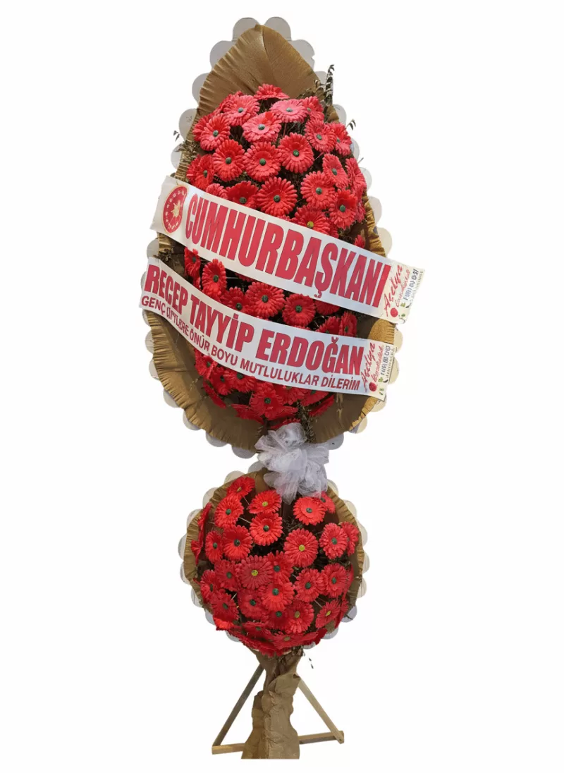 Çift Katlı Kırmızı Gerbera