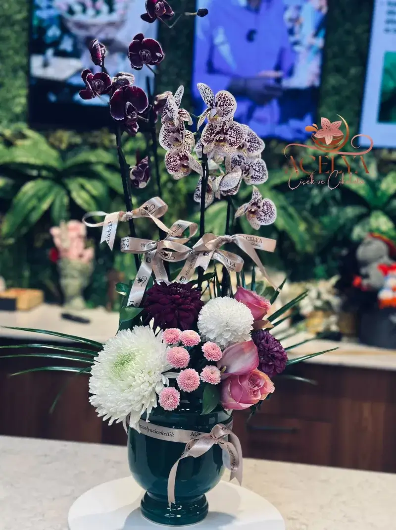 Çift Dallı Benekli Orkide Premium Aranjman