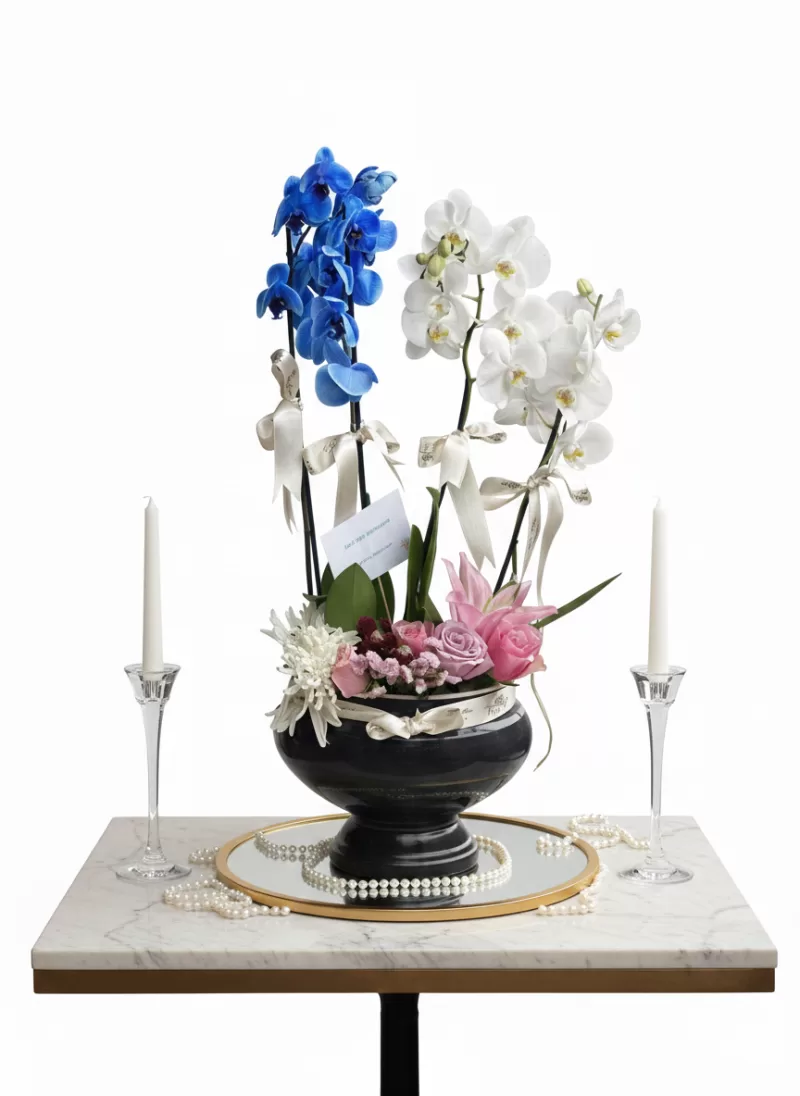 Royal Blue & White Orkide Tasarım Aranjmanı