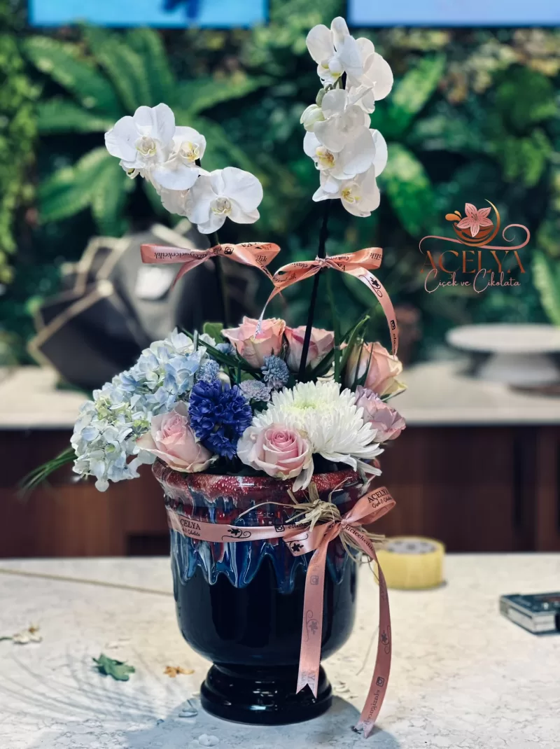 Prestij Serisi Orkide Bahçesi Aranjmanı