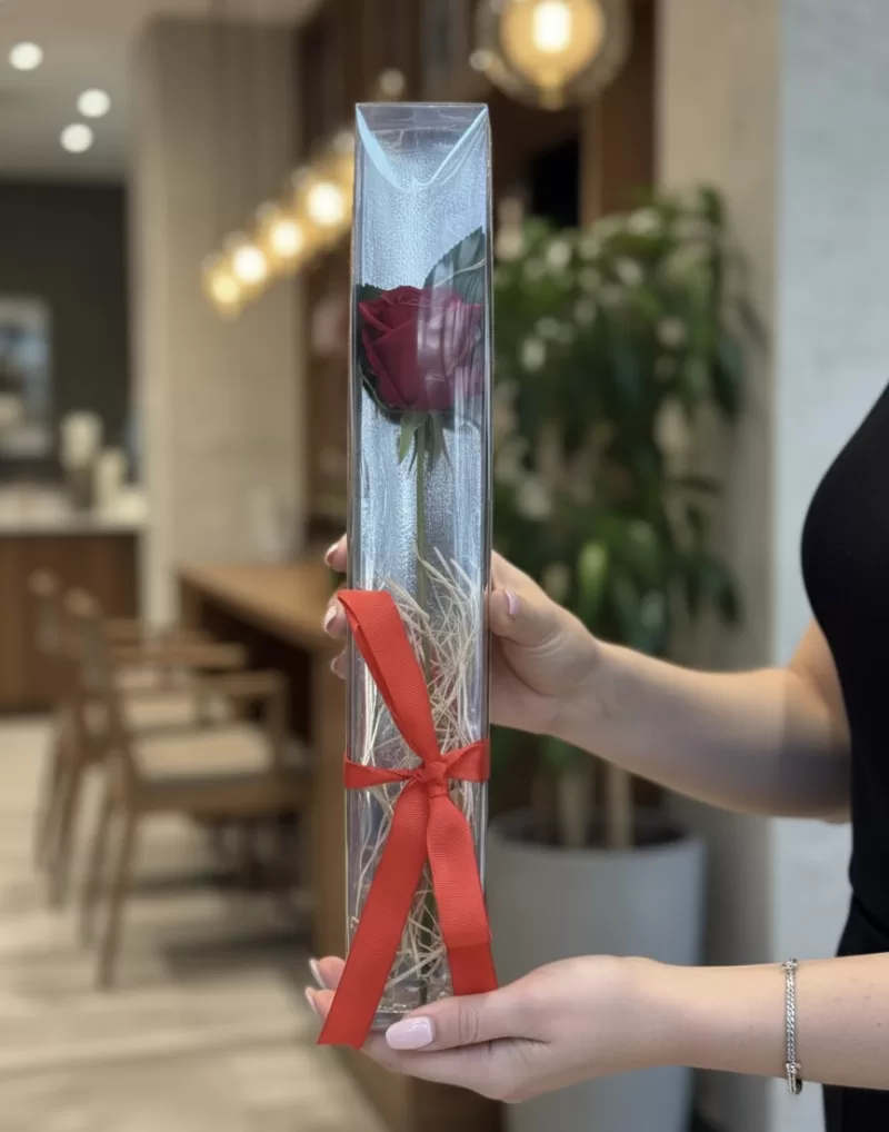 Kutuda Tek Kırmızı Ve Beyaz Gül Ledli