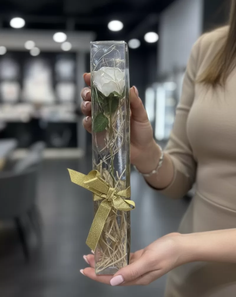 Kutuda Tek Kırmızı Ve Beyaz Gül Ledli