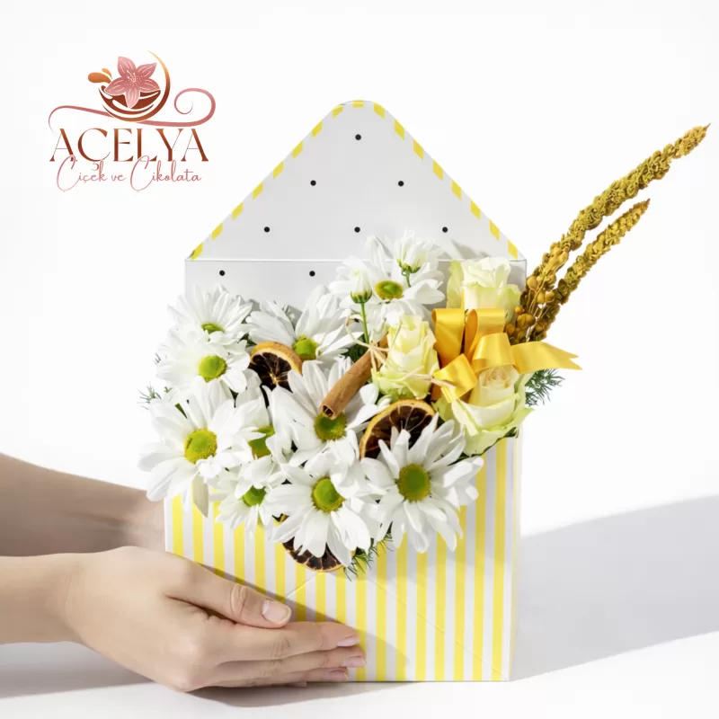 Sarı Çizgili Zarf Kutuda Papatya & Beyaz Gül Aranjmanı