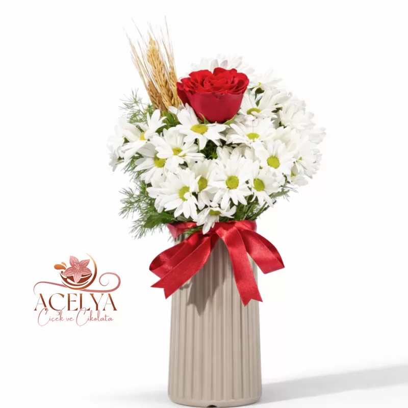 Krem Vazoda Papatya & Kırmızı Gül Aranjmanı