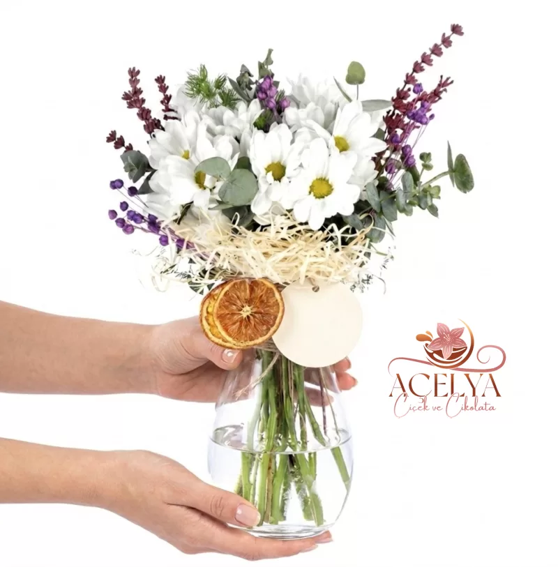 Cam Vazoda Papatya Bahçesi Aranjmanı