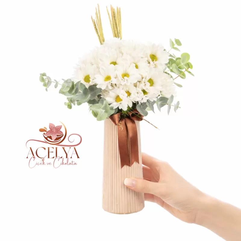 Bej Vazoda Beyaz Papatya Baharı