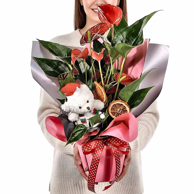 Ayıcıklı Antoryum Tasarım Saksı Çiçeği