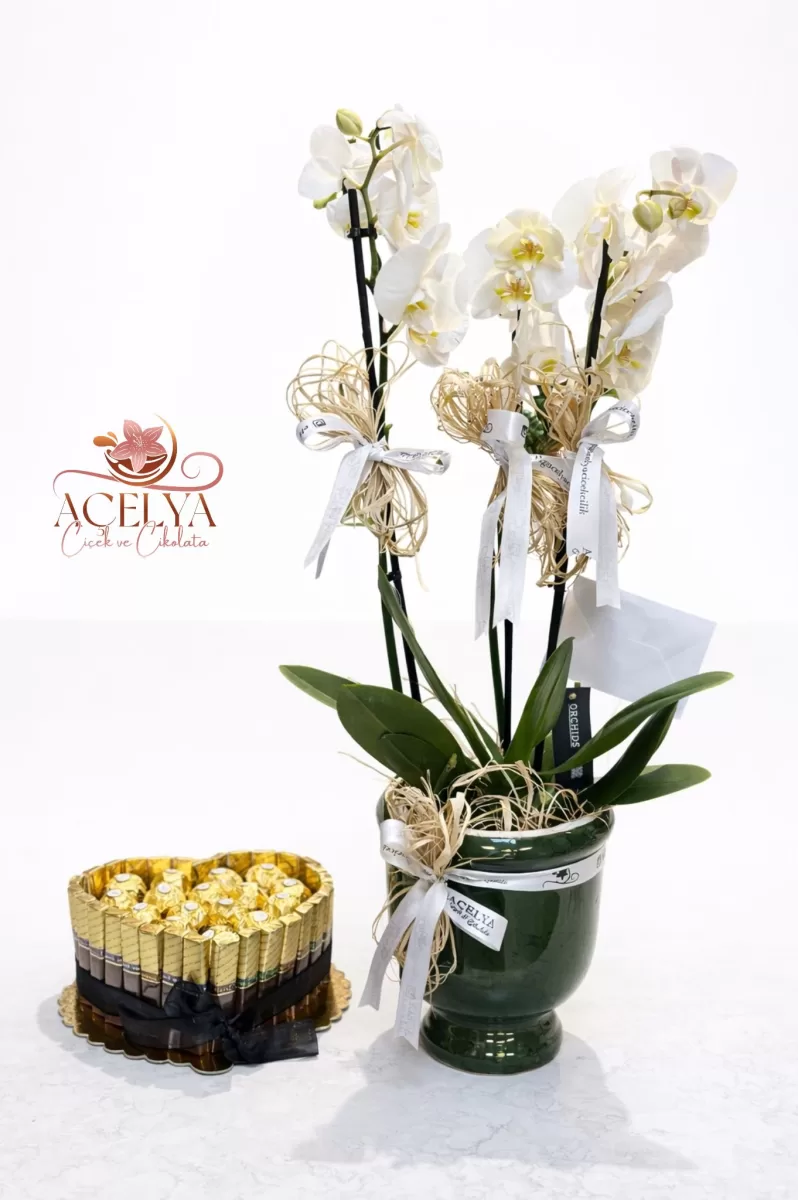 Beyaz Orkide & Çikolata Kalbi Özel Set 2 Dallı