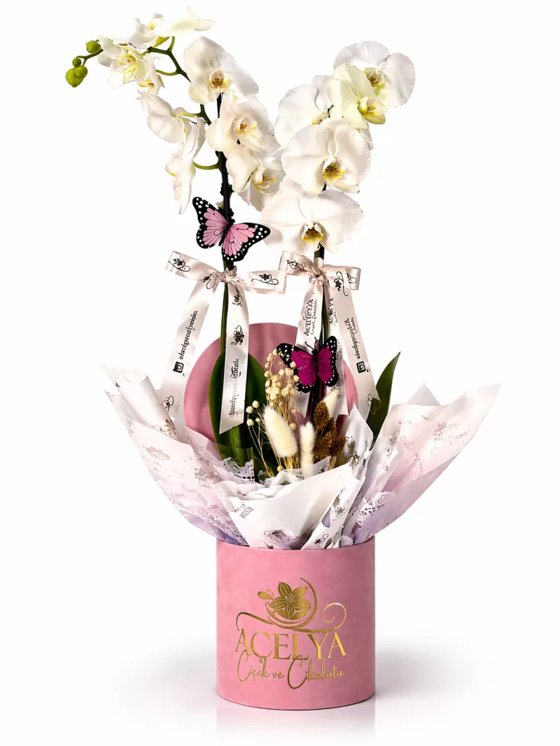 Kelebekli Premium Beyaz Orkide Aranjmanı 