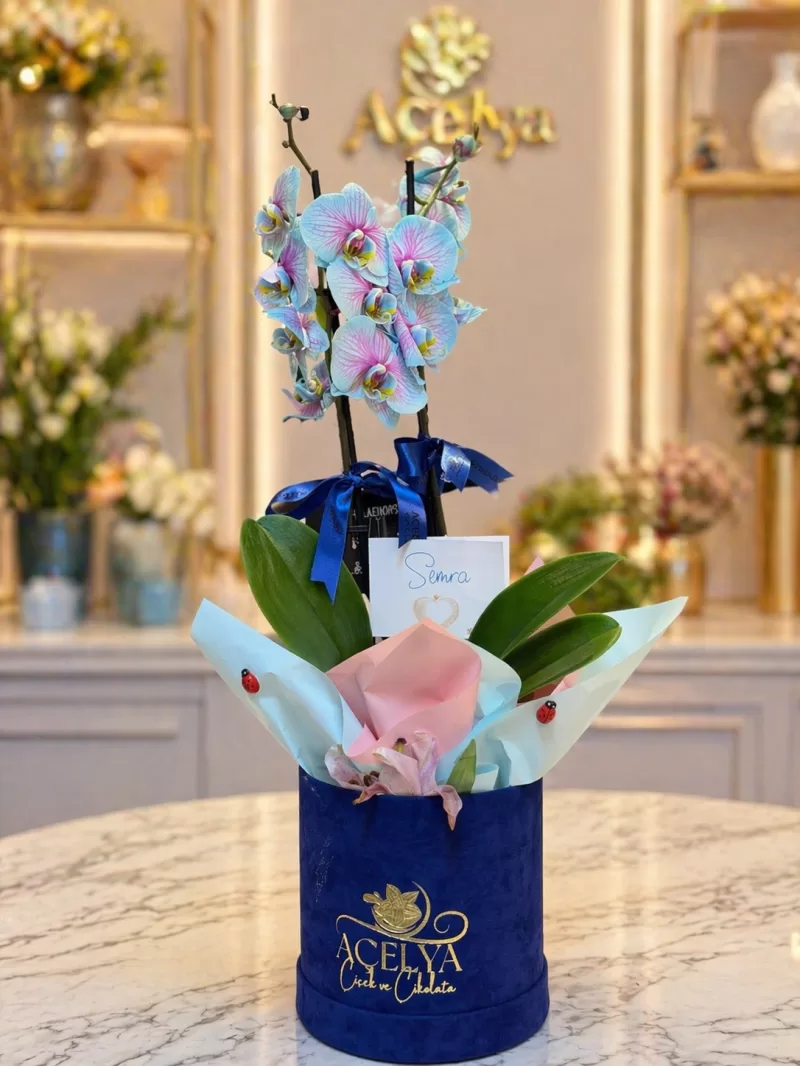 Mavi Kutuda Premium Orkide Tasarımı