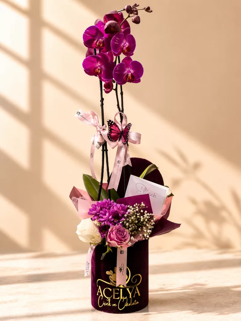 Fuşya Orkide Kutulu Özel Tasarım