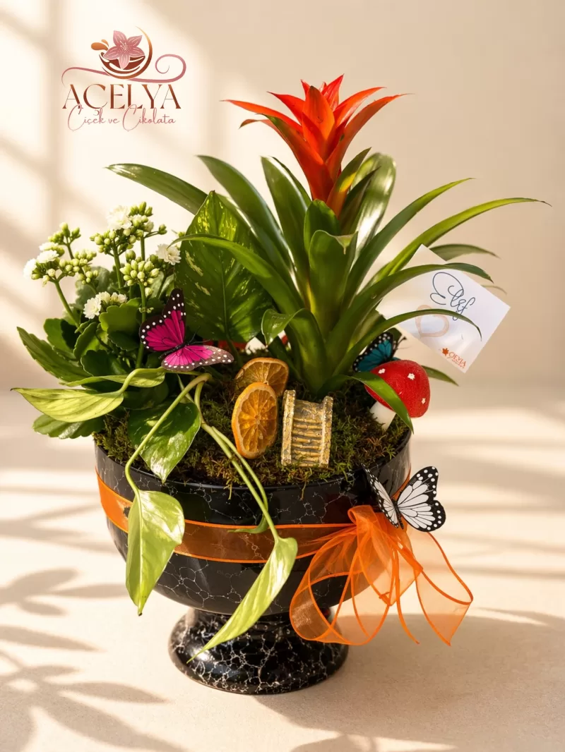 Tropikal Saksı Aranjmanı (Bromelya Tasarım)