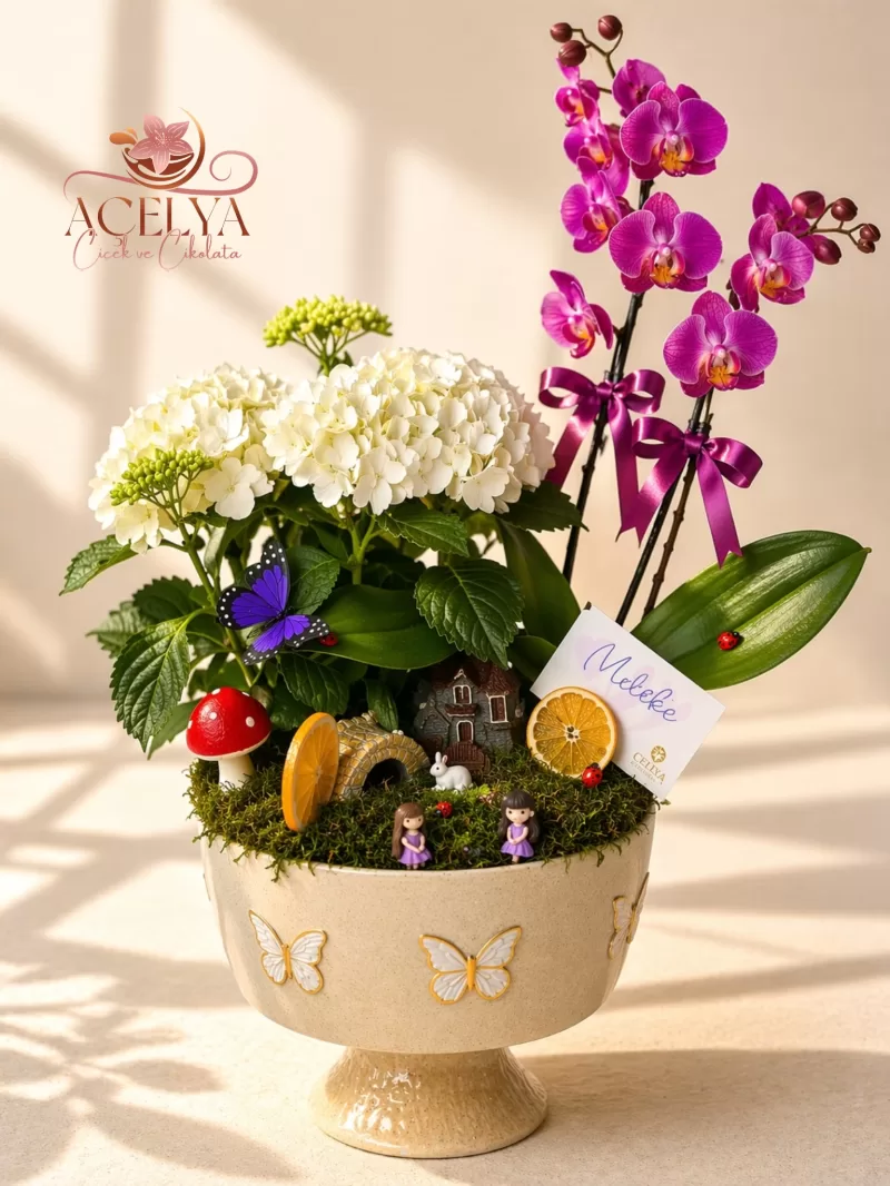 Orkide & Ortanca Masal Bahçesi Aranjmanı
