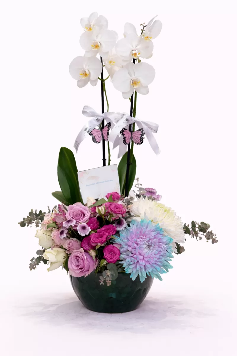 Orkide & Renkli Çiçekli Premium Aranjman (Vazo Tasarım)