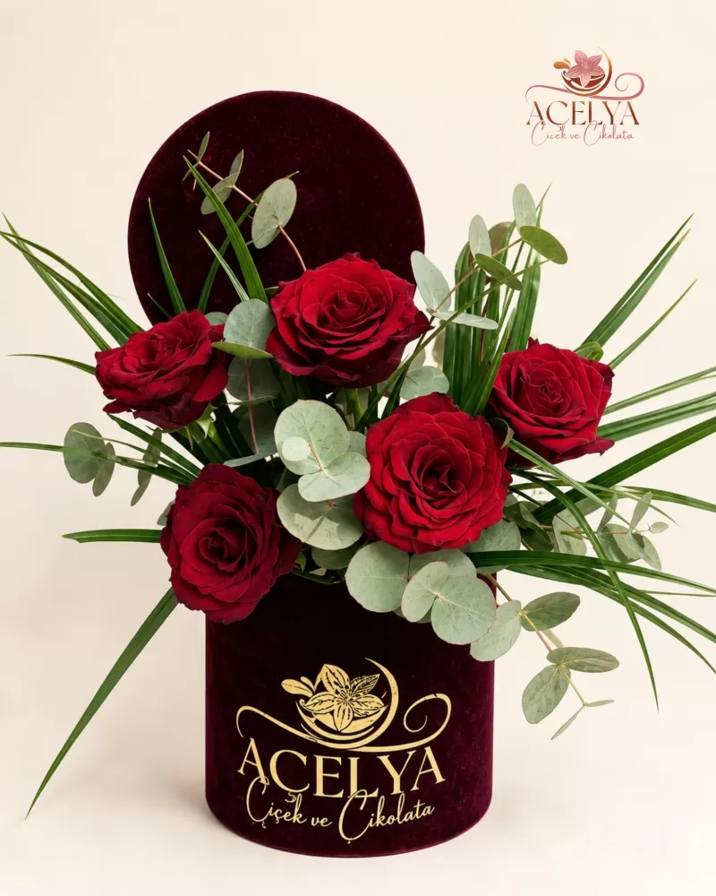 Velvet Rose Premium Kutu