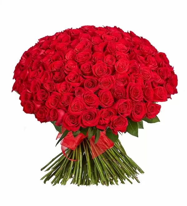 Seni Seviyorum 250 Kırmızı Gül Buketi