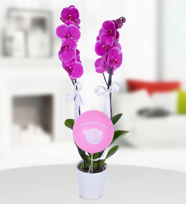 Pembe Balonlu Kız Bebek Mor Orkide